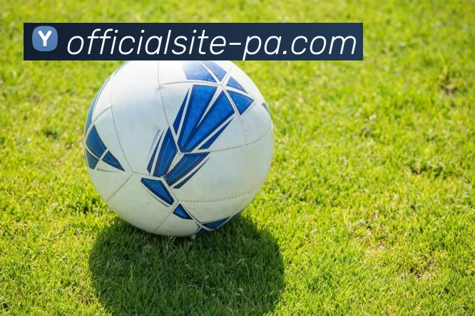 PA真人视讯品牌故事