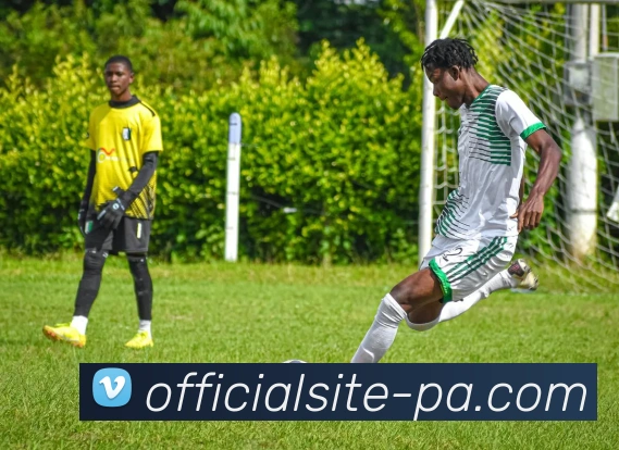 PA真人视讯服务体系