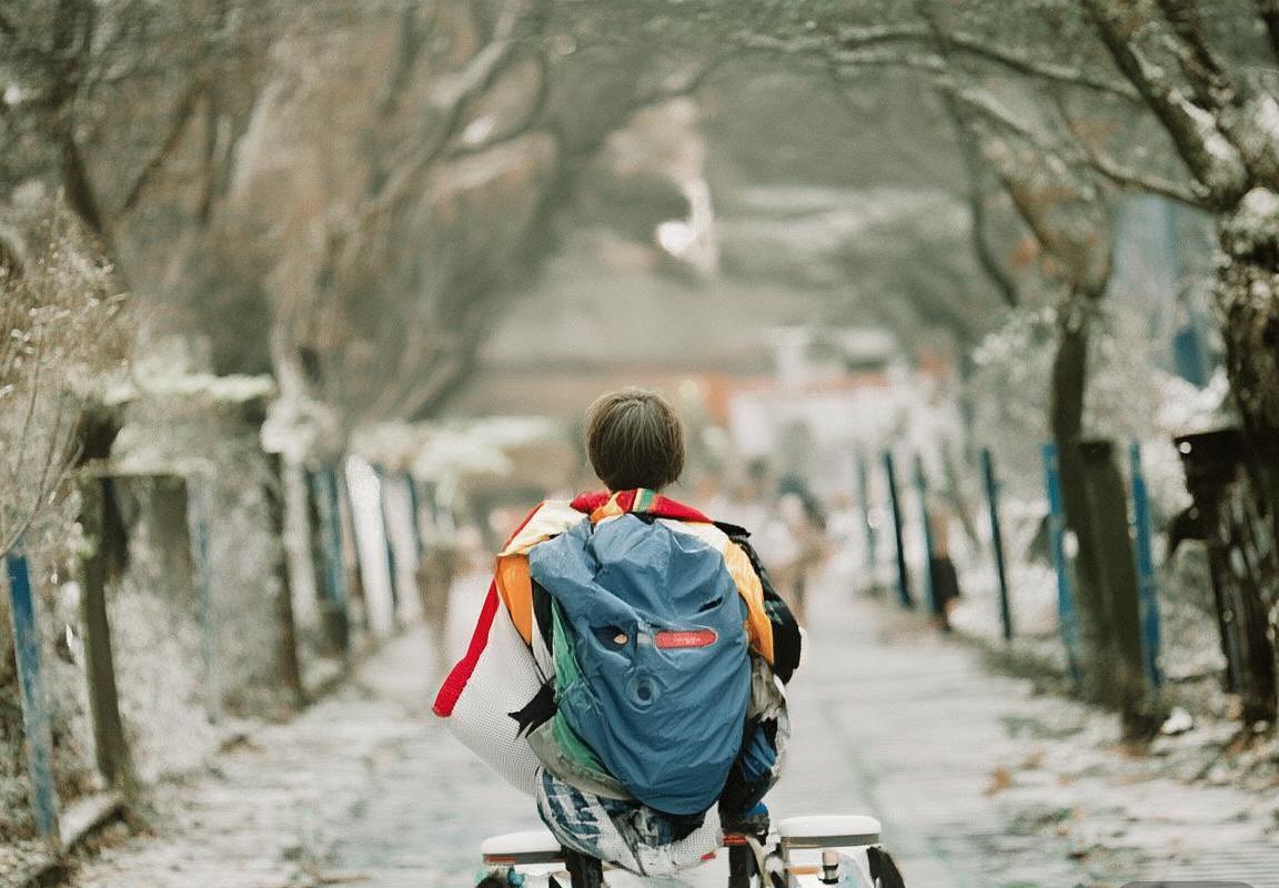 拜仁慕尼黑主场胜弗莱堡：德甲巅峰对决精彩回顾