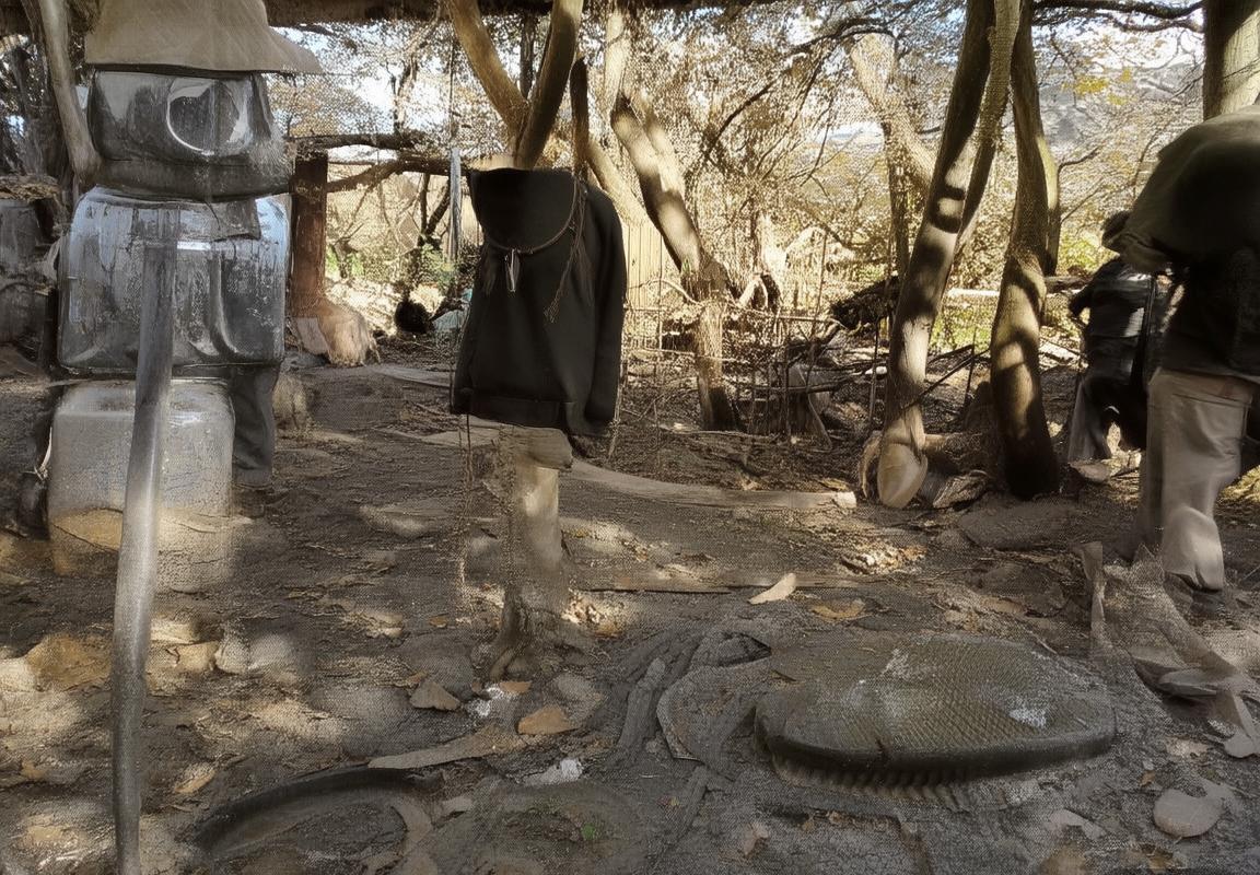 国安vs北京人和：精彩对决回顾与深度分析